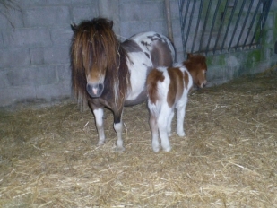 Jolane et Elke