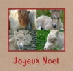 Joyeux Noel