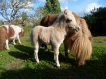 Edene et Merry