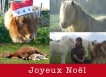 Joyeux Noël